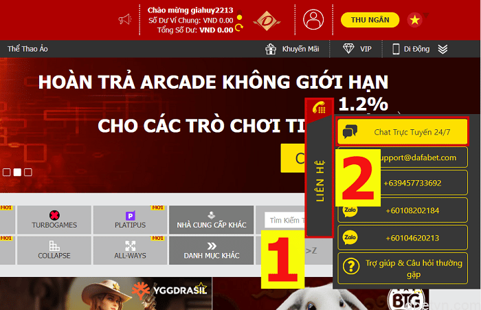Hướng dẫn gửi tiền Dafabet thành công sau 5 phút | Dbetvn 2
