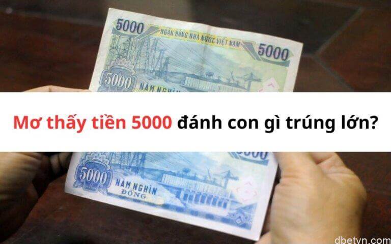 Mơ thấy tiền 5000 đánh con gì trúng lớn? Giải mã giấc mơ 3