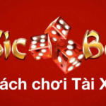 Bật mí 4 cách đánh Tài Xỉu kiếm tiền đầy túi nhanh chóng | Dafabet