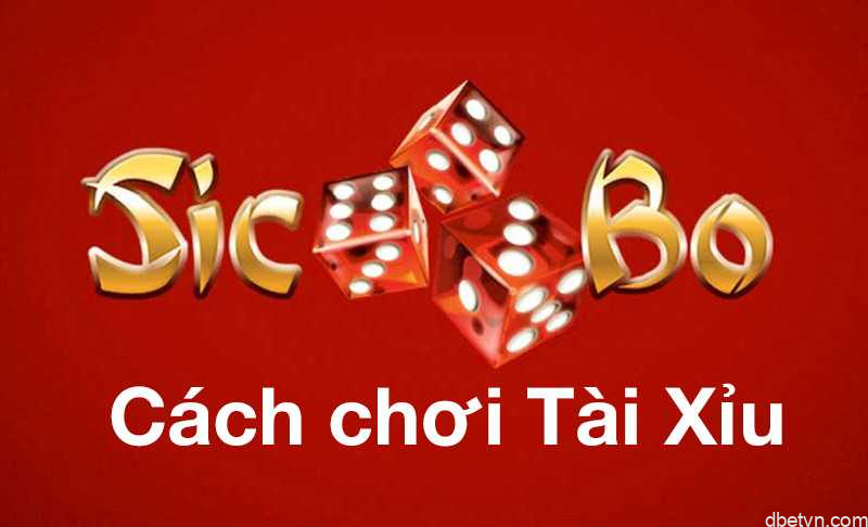 Bật mí 4 cách đánh Tài Xỉu kiếm tiền đầy túi nhanh chóng | Dafabet 2